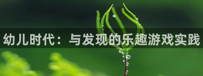 幼儿时代：与发现的乐趣游戏实践