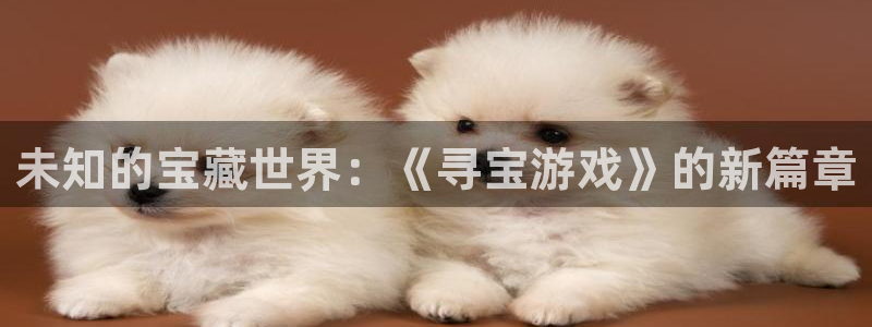 未知的宝藏世界：《寻宝游戏》的新篇章