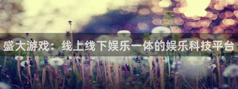 盛大游戏：线上线下娱乐一体的娱乐科技平台
