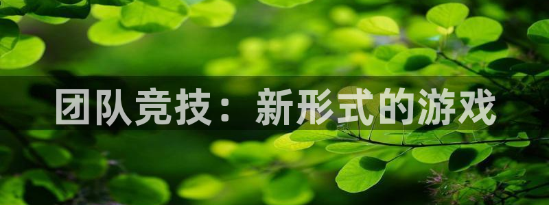尊龙官方网站最新版V9.3.06：团队竞技：新形式的游戏